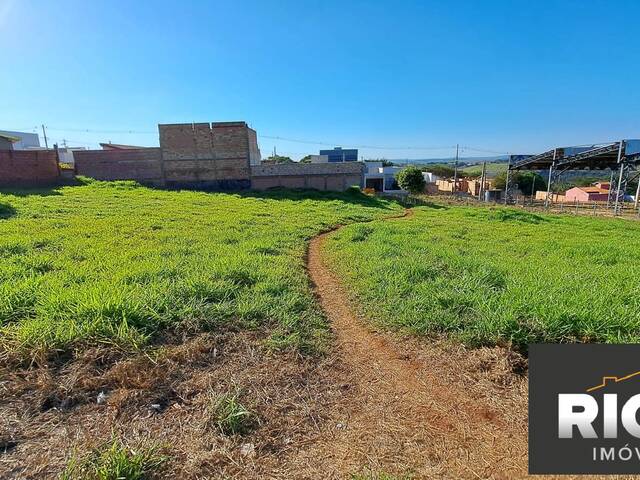 Terreno para Venda em Piraju - 1