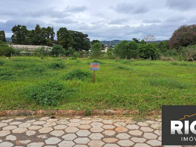 Venda em ALTO DE SANTA MARIA - Piraju